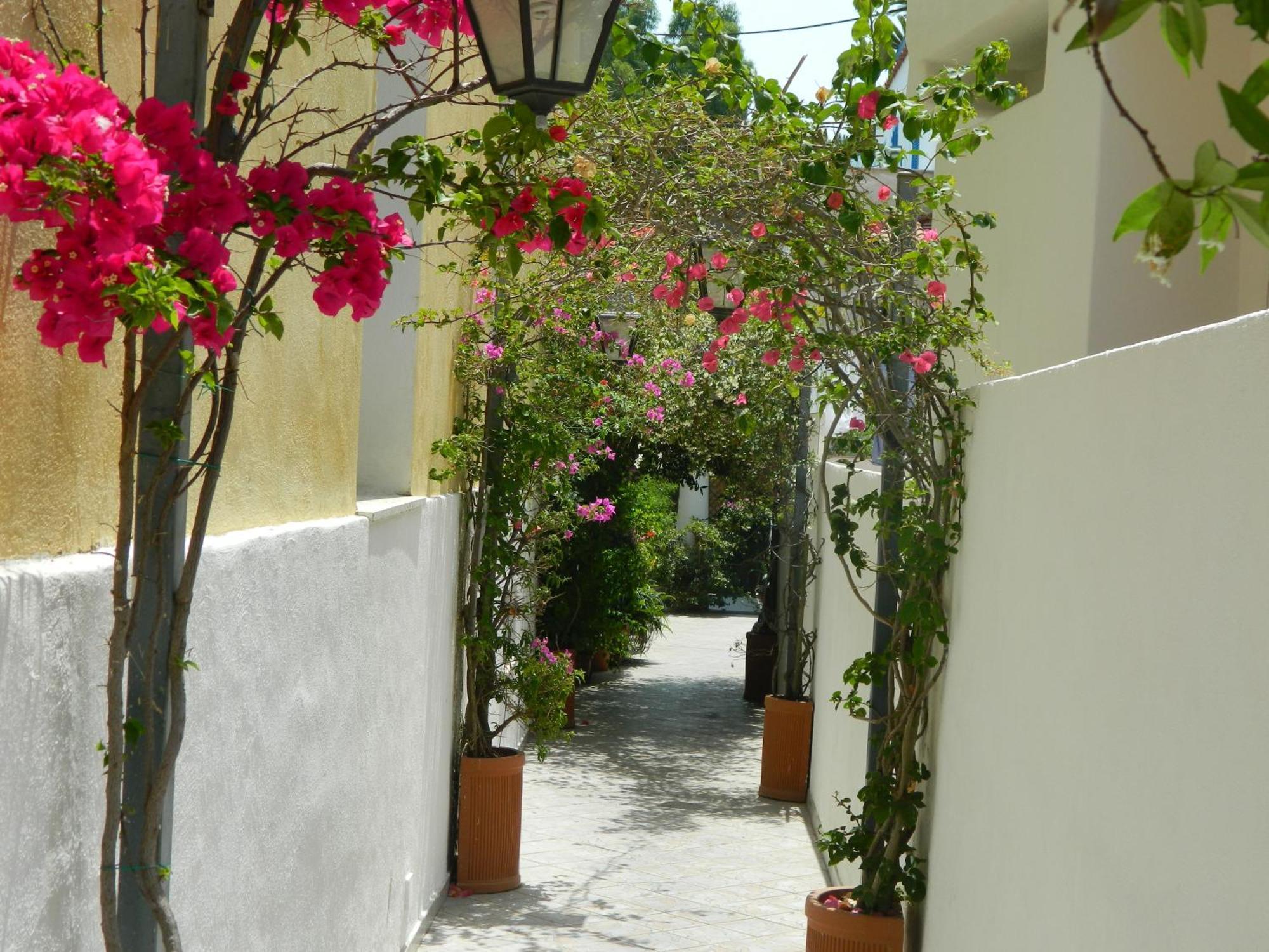 Hotel Villa Hermosa Ischia Luaran gambar